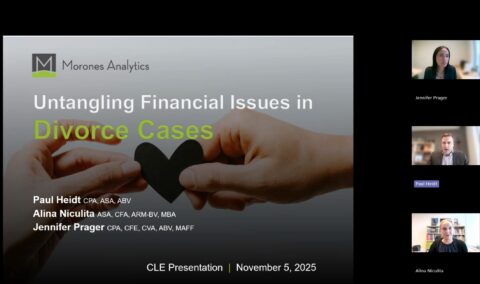 Untangling Financial Issues in Divorce Cases - Morones Analytics CLE webinar