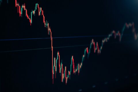 lost profits from business disruption
