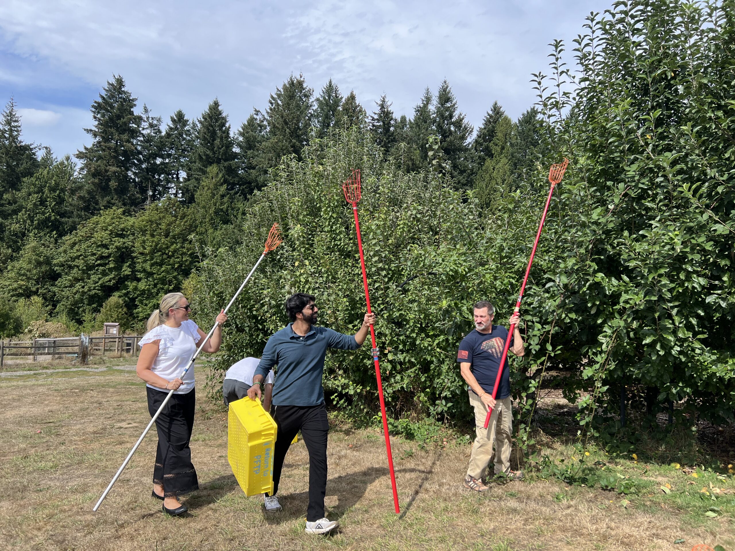 Morones Analytics team community service day with Portland Fruit Tree Project