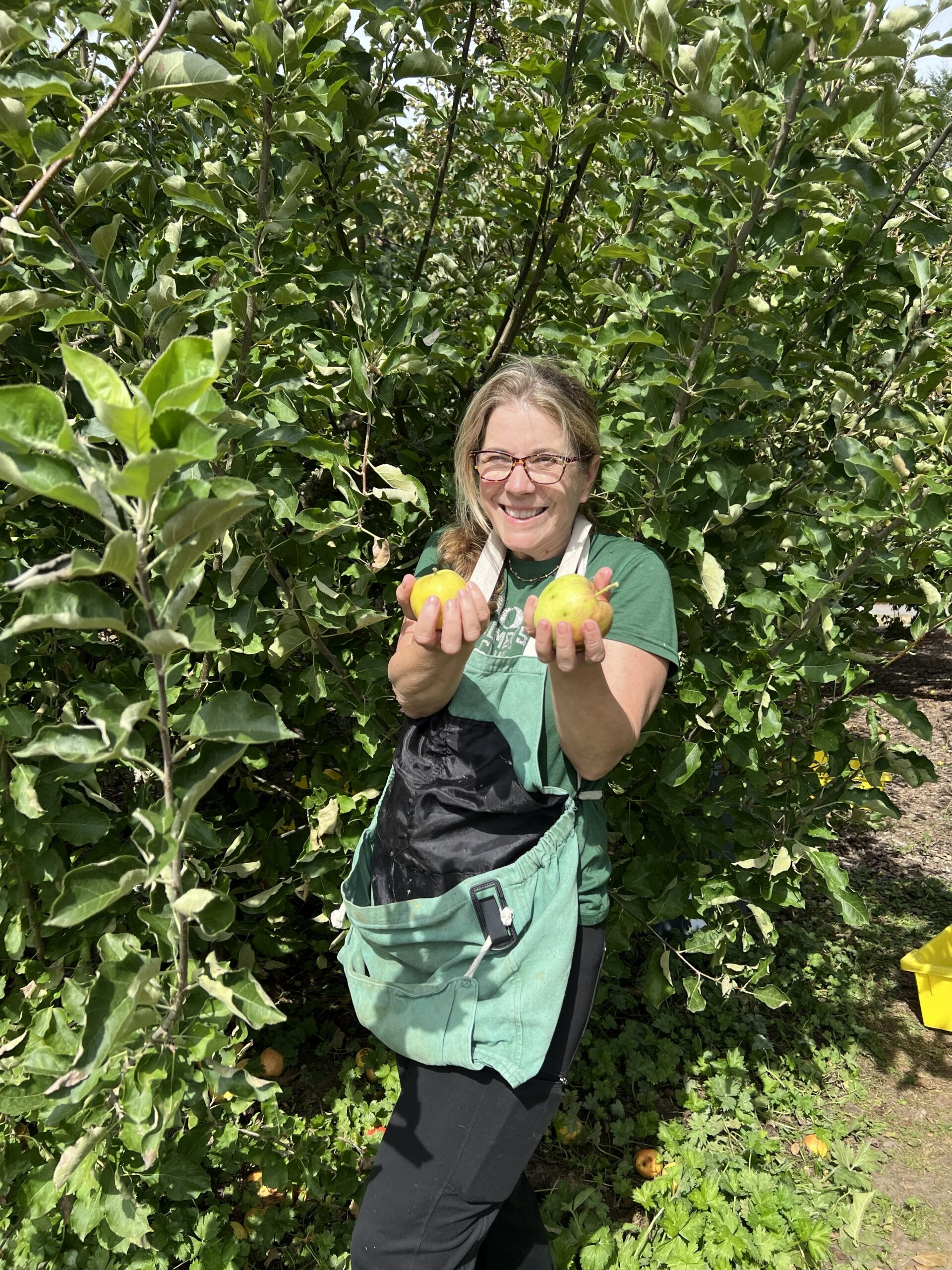 Morones Analytics team community service day with Portland Fruit Tree Project