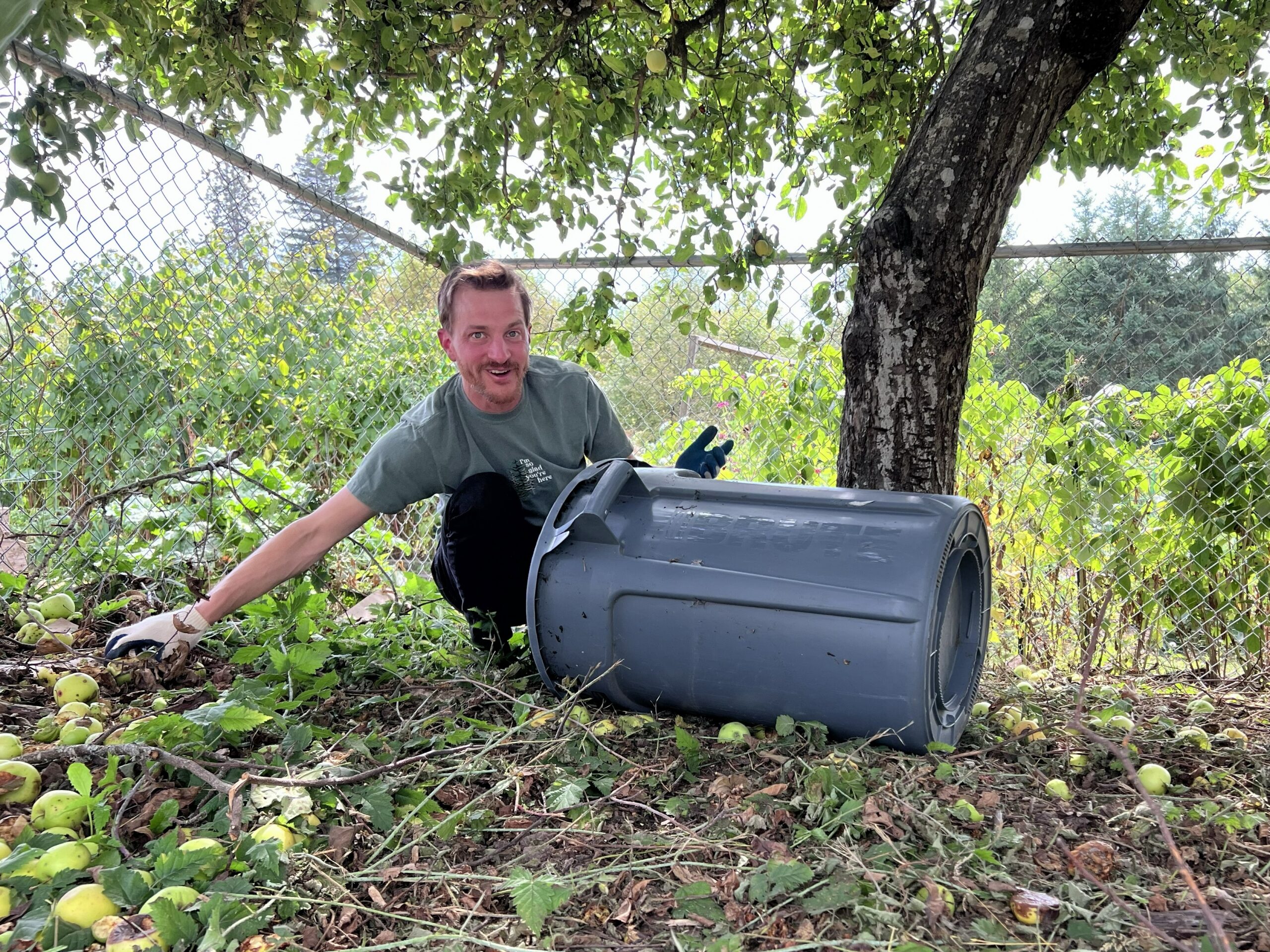 Morones Analytics team community service day with Portland Fruit Tree Project