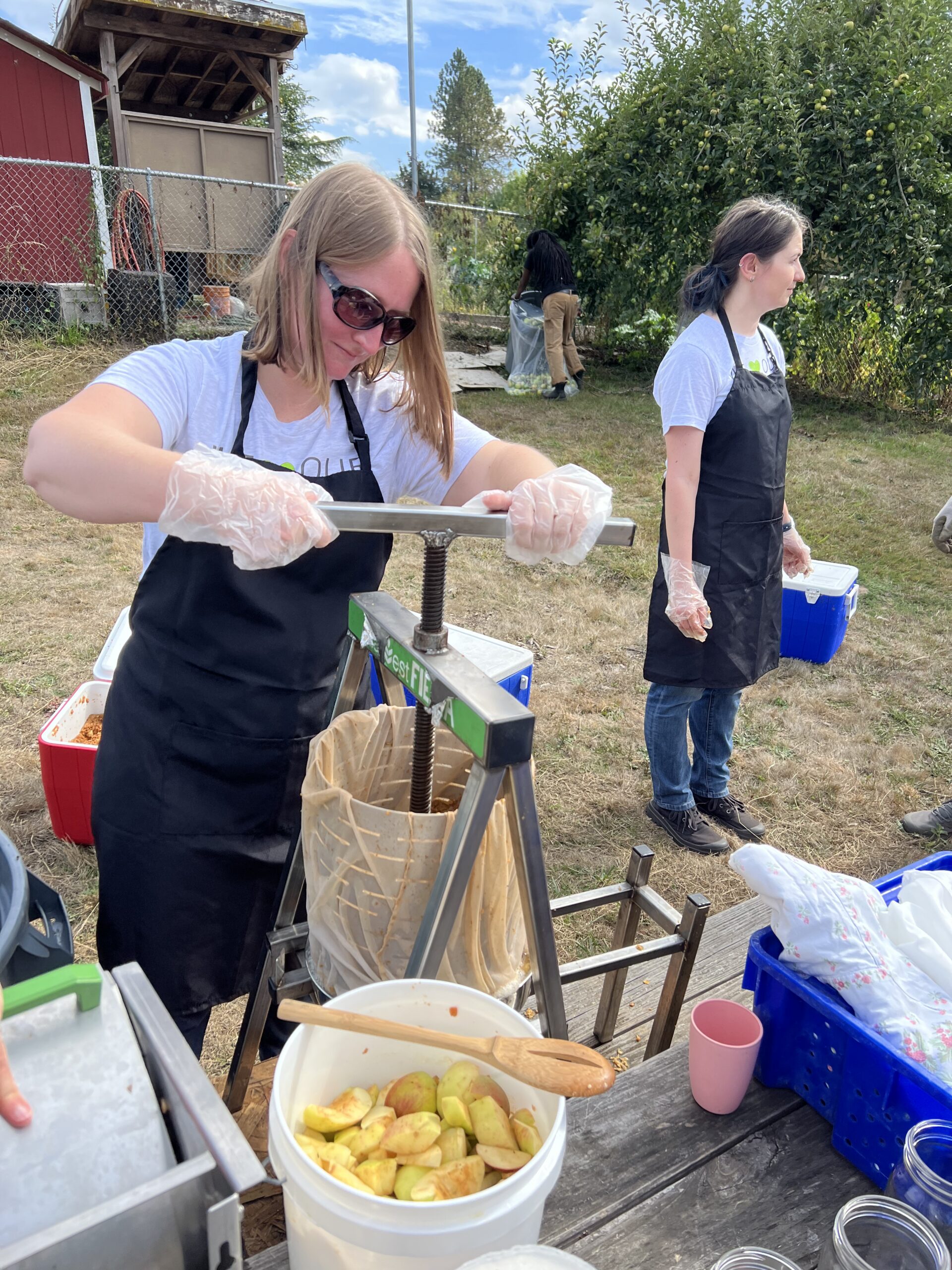 Morones Analytics team community service day with Portland Fruit Tree Project