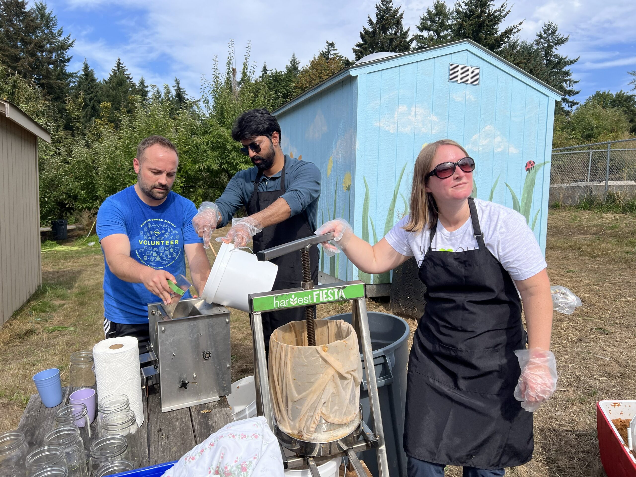 Morones Analytics team community service day with Portland Fruit Tree Project